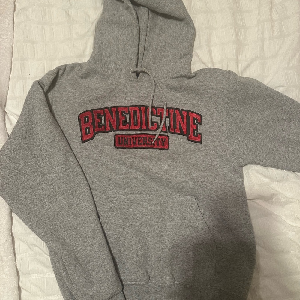 Champion college hoodie